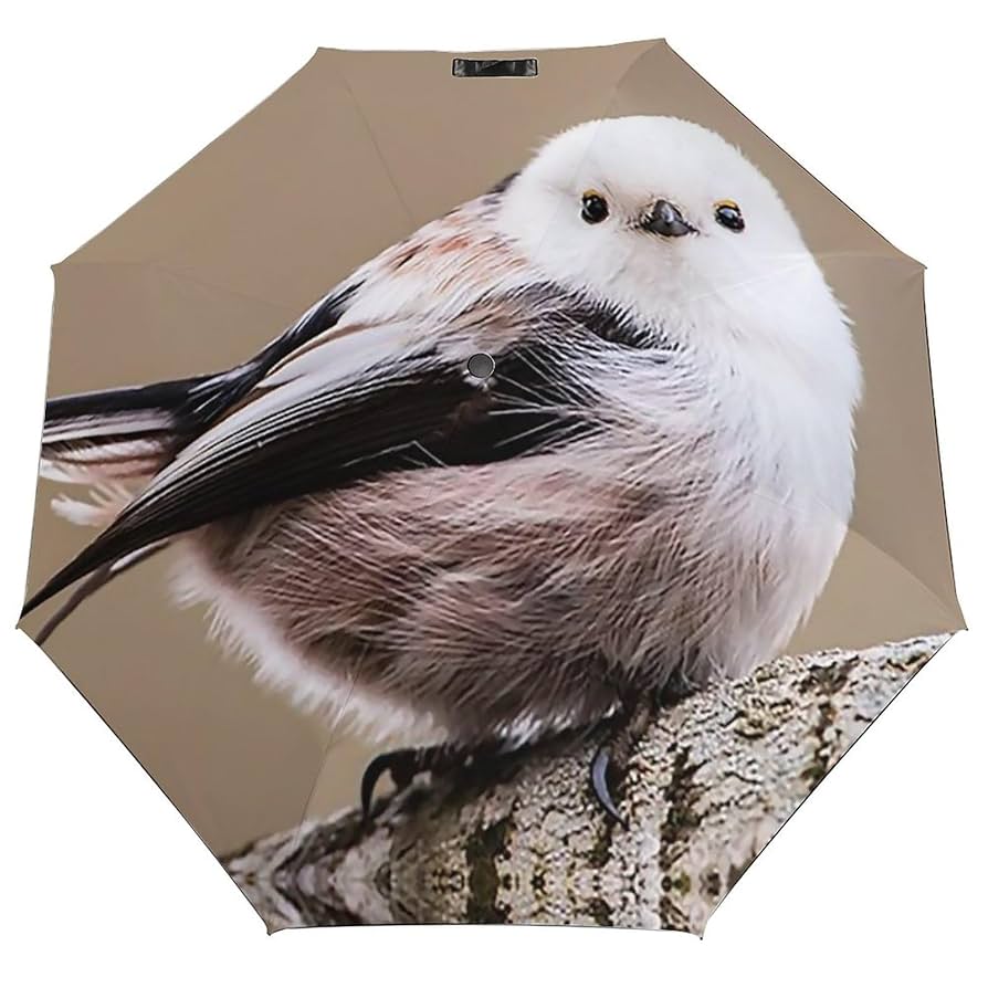 Amazon.co.jp: 折りたたみ傘 シマエナガ かわいい 鳥 折り畳み傘